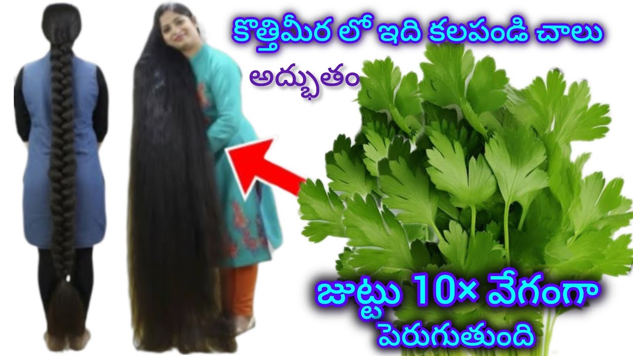 కొత్తిమీర లో ఇది కలపండి చాలు 7 రోజుల్లో మీ జుట్టు విపరీతంగా ఒత్తుగా పొడవుగా పెరుగుతుంది 😱 nonstop 