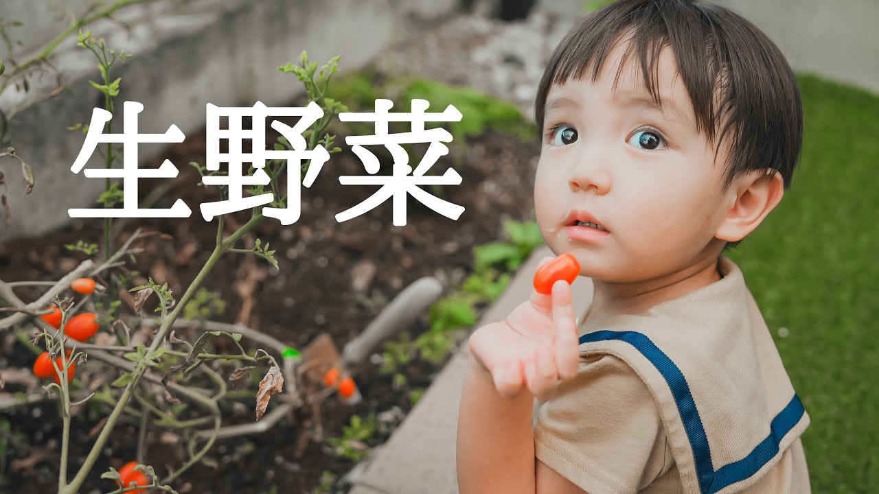 【幼児食】自家栽培のトマト＆麻婆豆腐を食べさせるついでに、大嫌いなサラダを食べさせたらまさかの反応だった！