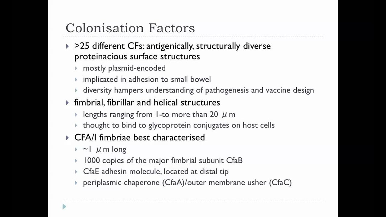 Bio305 2012  E. coli Lecture 1