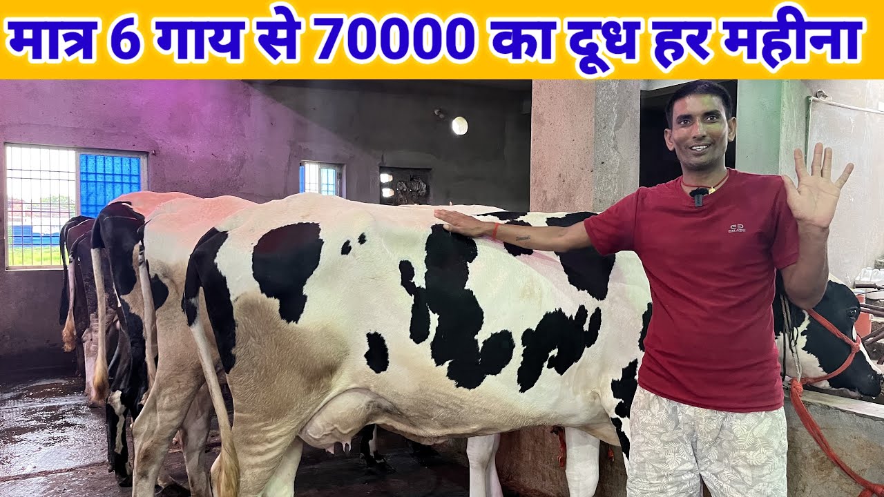 घर में गाय पालन से कमाई || Dairy Farm In India #dairyfarmvideo 