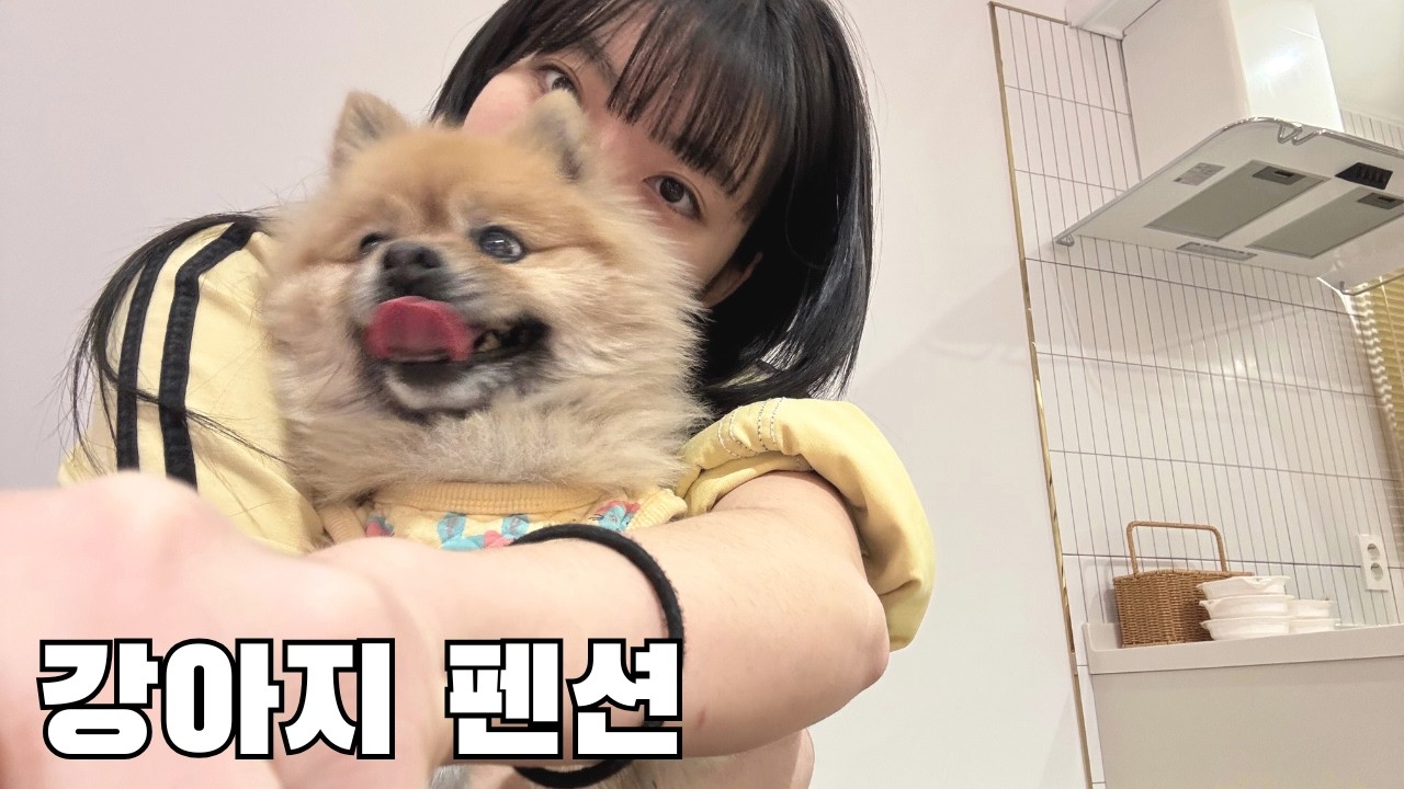 [vlog] 강아지들과 가족 여행 가보기! 강아지 펜션 후기!! 1편