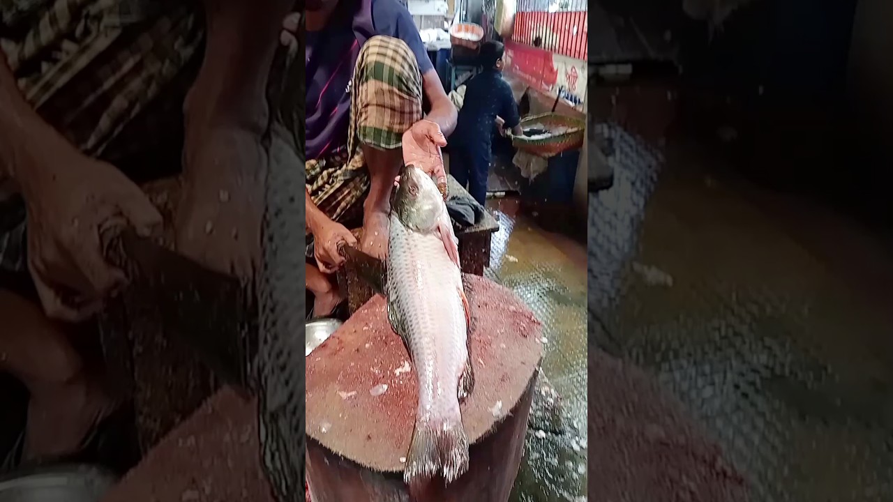 Amazing Big Mrigal Fish Cutting Skills Live In BD Fish#44Market