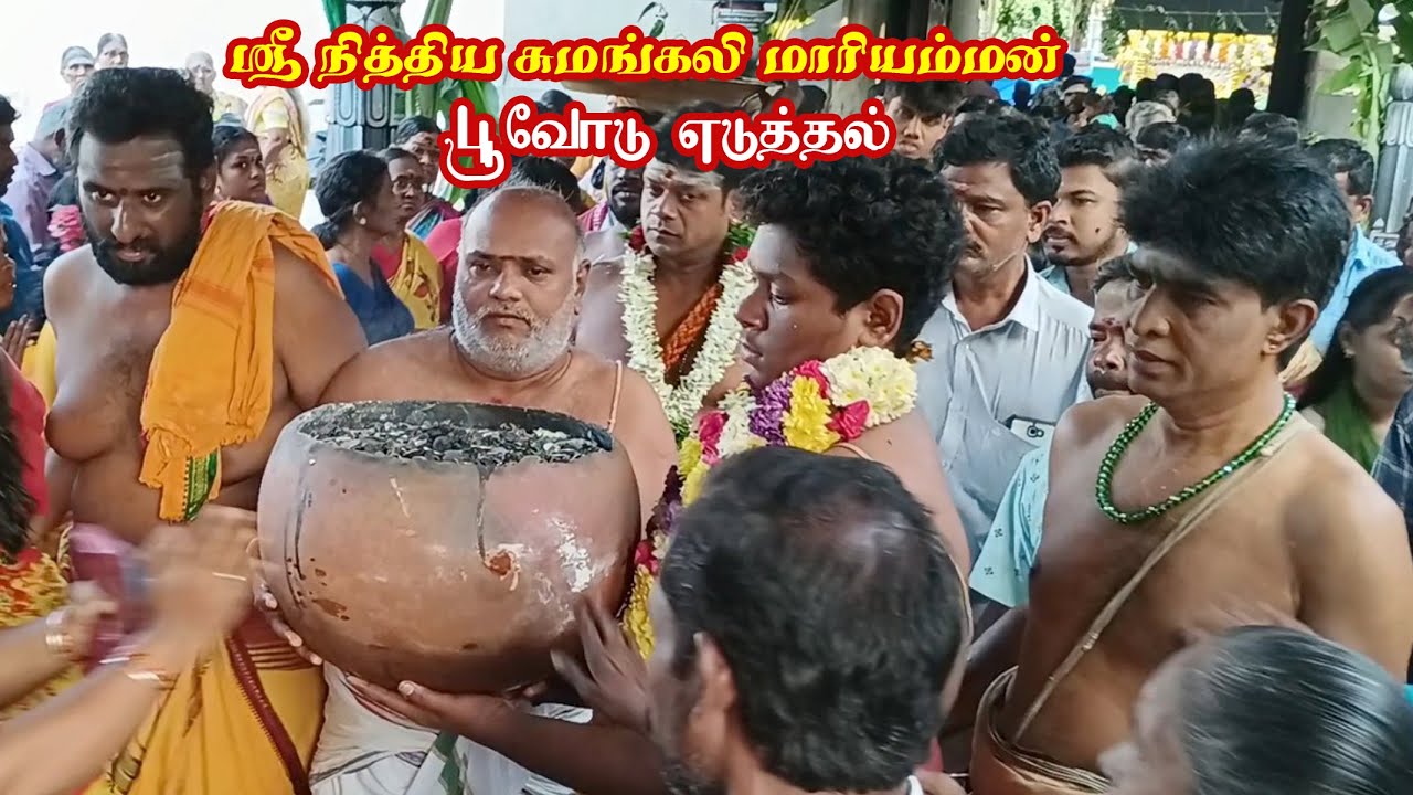 பூவோடு எடுத்தல் ஸ்ரீ நித்திய சுமங்கலி மாரியம்மன் 2025#nithiyasumangaliamman #trending #mariyamman