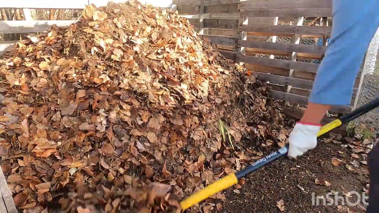 Preparing my compost pile for Spring 2024