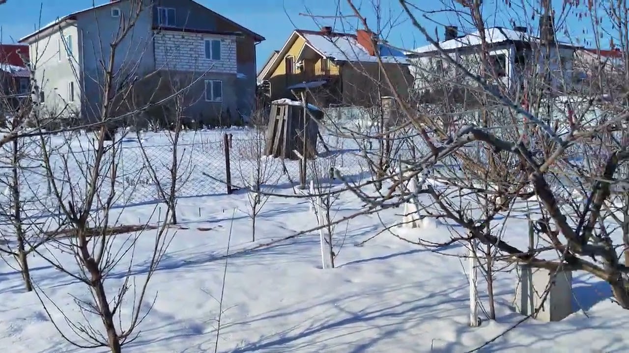 Персиковий сад, -23 градуси за цельсієм 