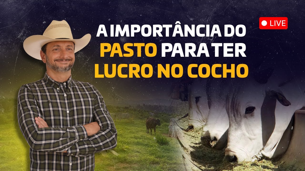 A importância do PASTO para ter LUCRO no COCHO