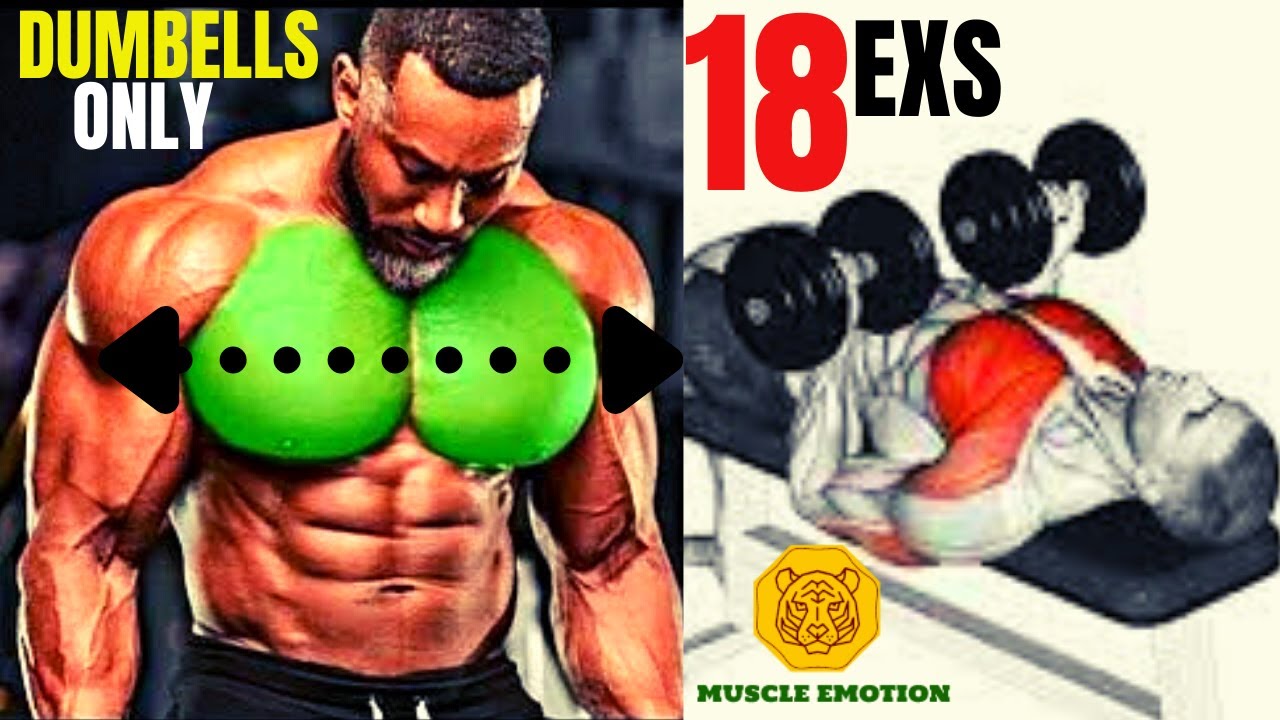 18 BEST CHEST EXERCISES WITH DUMBELLS / MUSCULATION PECS AVEC HALTERES