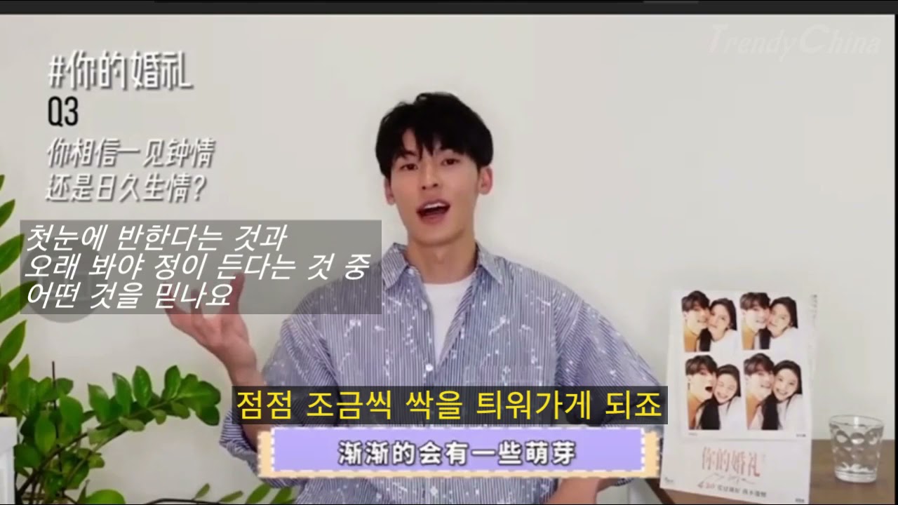 [인터뷰한글번역] 허광한 许光汉 쉬광한  사랑에 대한 7문 7답 Q&A | 너의결혼식 你的婚礼 |  니적혼례 니더훈리 Nidehunli  장약남 章若楠  여름날우리 | 중국영화