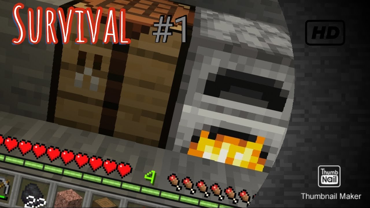 Minecraft Survival with HWN # 1