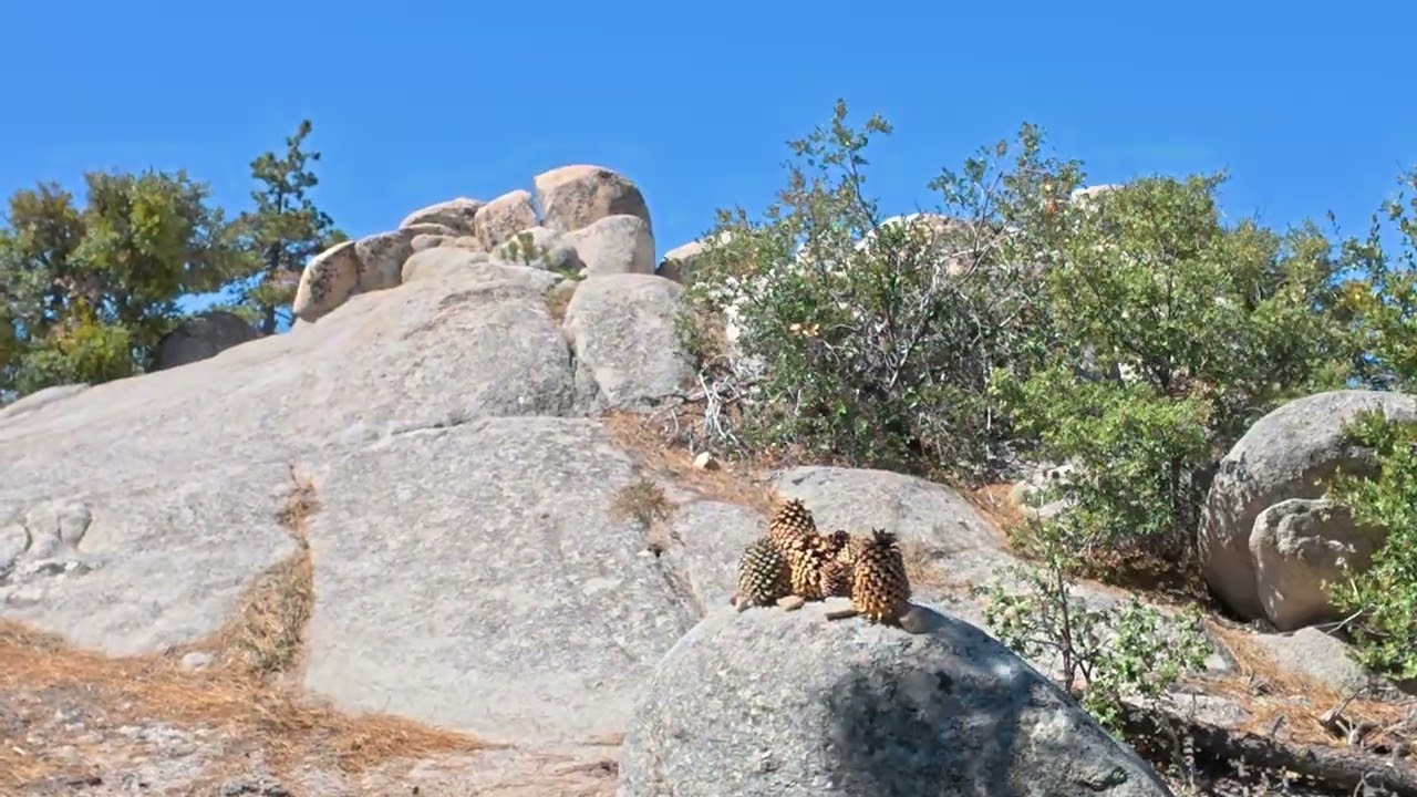 Hiking Club of Southbay (남가주 산악인) - Upper Chilao - Near Los Angeles