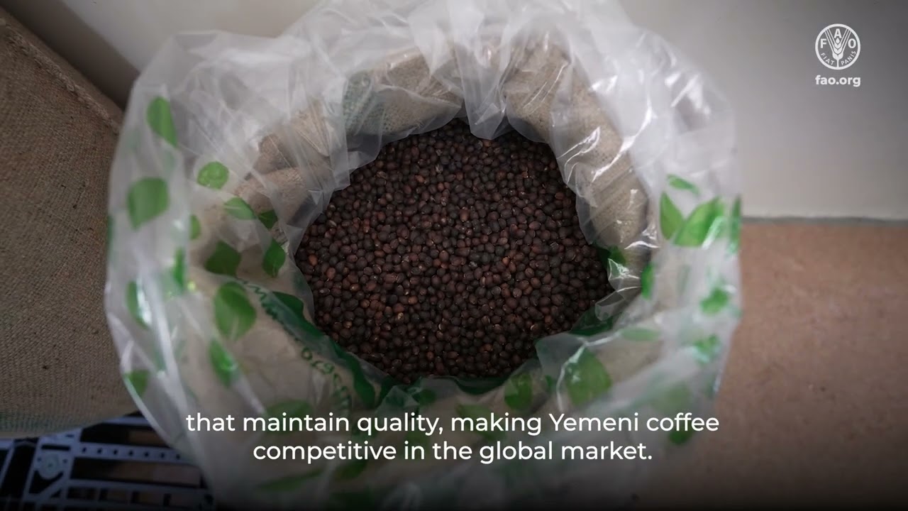 Yemeni Coffee - Rich Heritage and underutilized legacy.