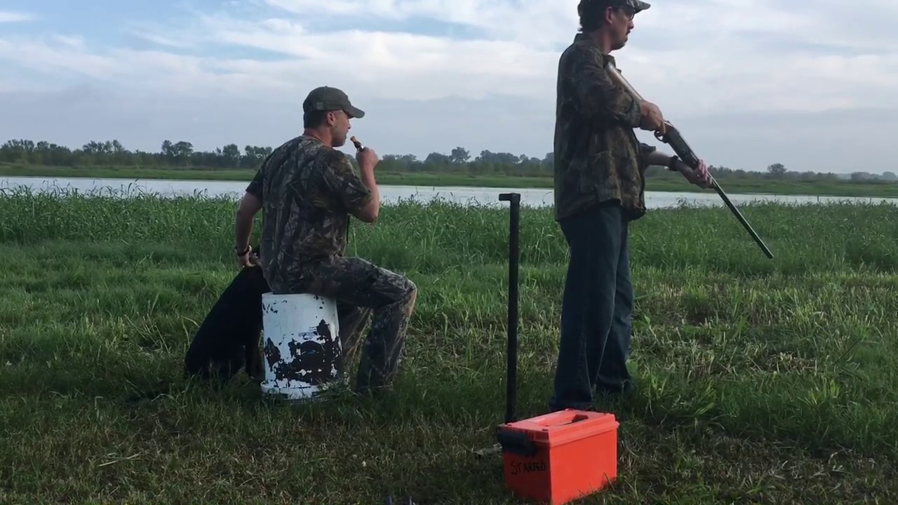 HRC &lsquo;Started&rsquo; Hunt Test - Big D Club
