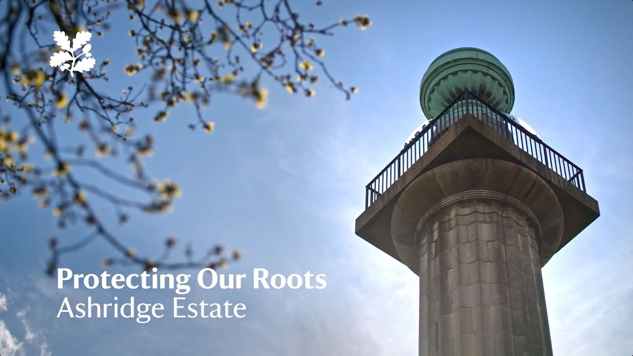 Ashridge Estate - Protecting Our Roots project update May 2024