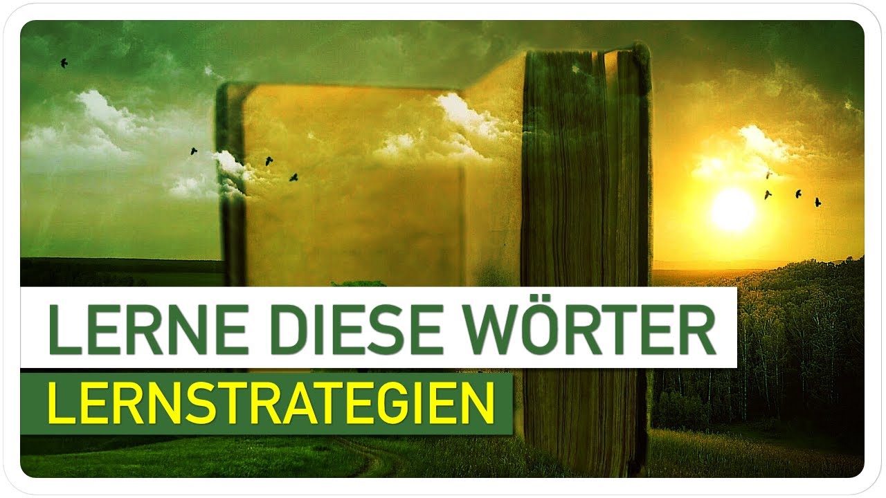 Hoher Lernfortschritt durch die richtigen Englischen Vokabeln. Das musst du wissen!