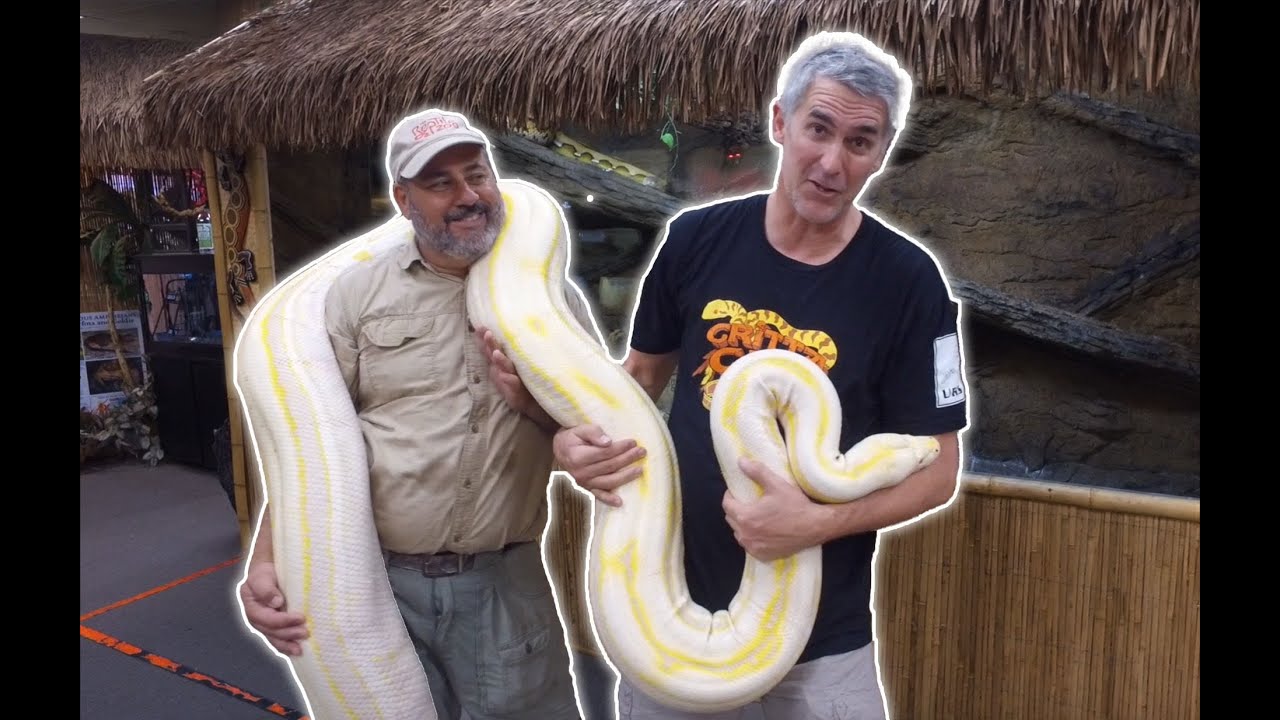 MASSIVE Colorful Snakes with Jay Brewer - CrittaCam