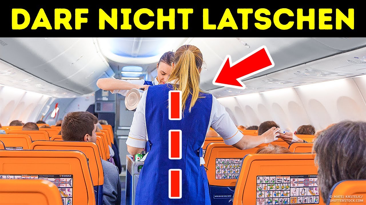 101 zuf&auml;llige Fakten, die Ihr Gehirn auf Trab bringen
