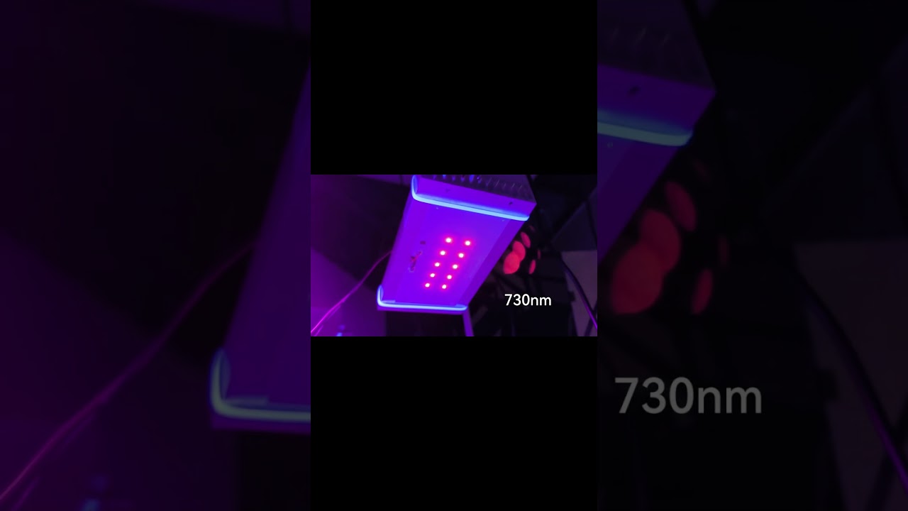 Test the umol of 730nm far red light #farred #730nm