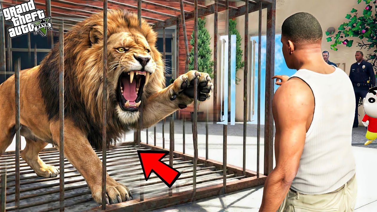 Franklin Catching Most Rare Lion In Los Santos In GTA 5 In Telugu