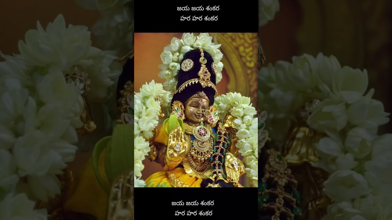 Kanchi Paramaacharyula leelalu - పరమాచార్యుల అన్నగారు Shri Shivan Sir