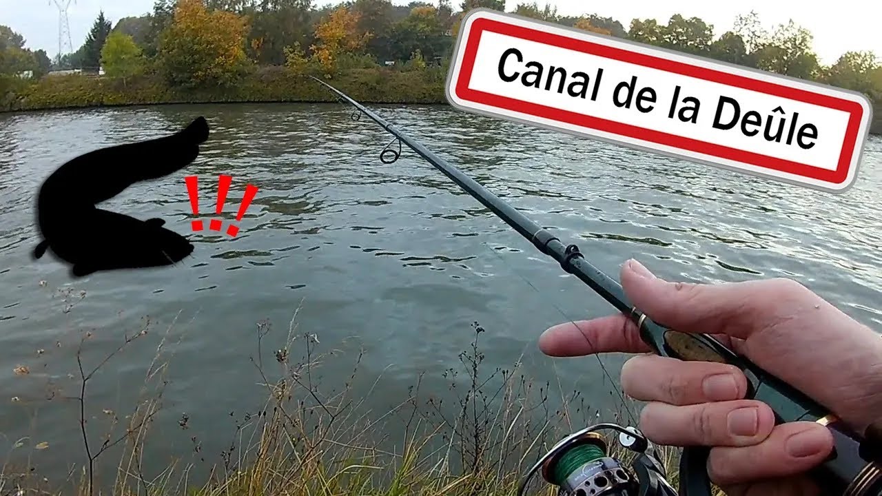 À la recherche du sandre sur le Canal de la Deûle quand soudain 😲 !! Touche en direct