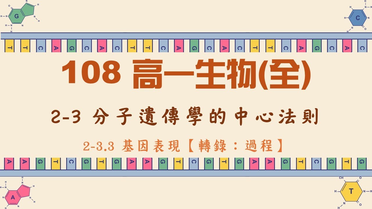 108高一生物(全)_2-3.3 基因表現【轉錄：過程】