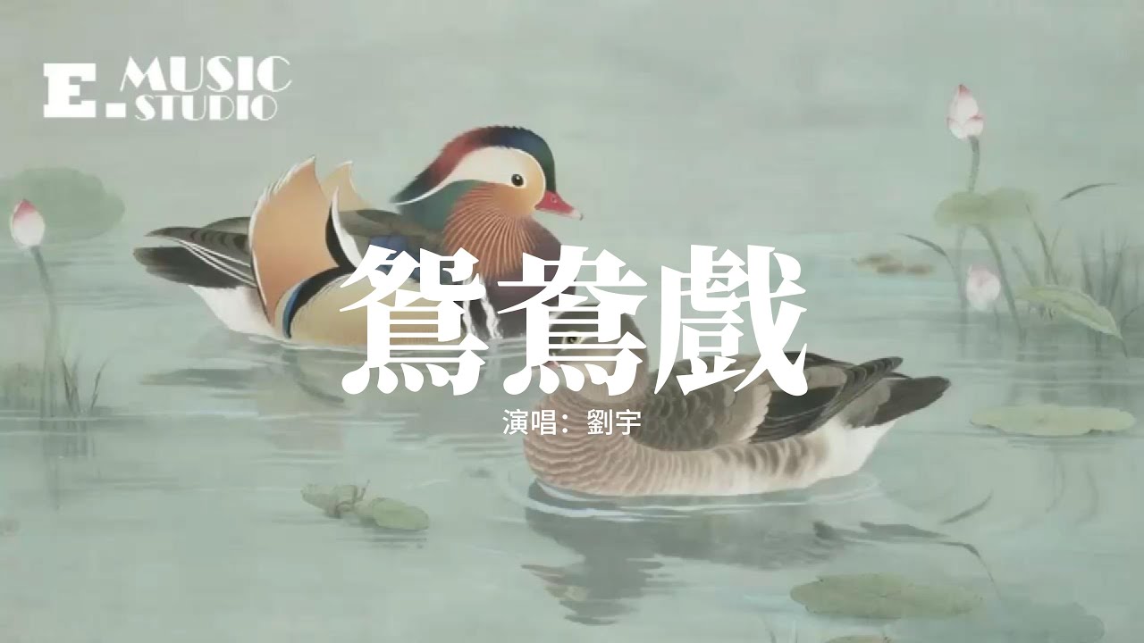 劉宇 - 鴛鴦戲『哎呦小情郎你莫愁，此生只為你挽紅袖，三巡酒過月上枝頭，我心悠悠。』【動態歌詞MV】
