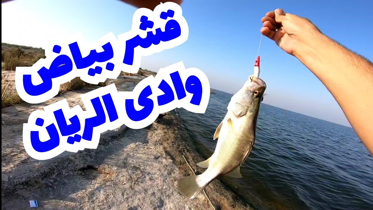 لكل مجتهد نصيب ( صيد سمكة قشر بياض كاستينج ) تابع لأخر الفيديو