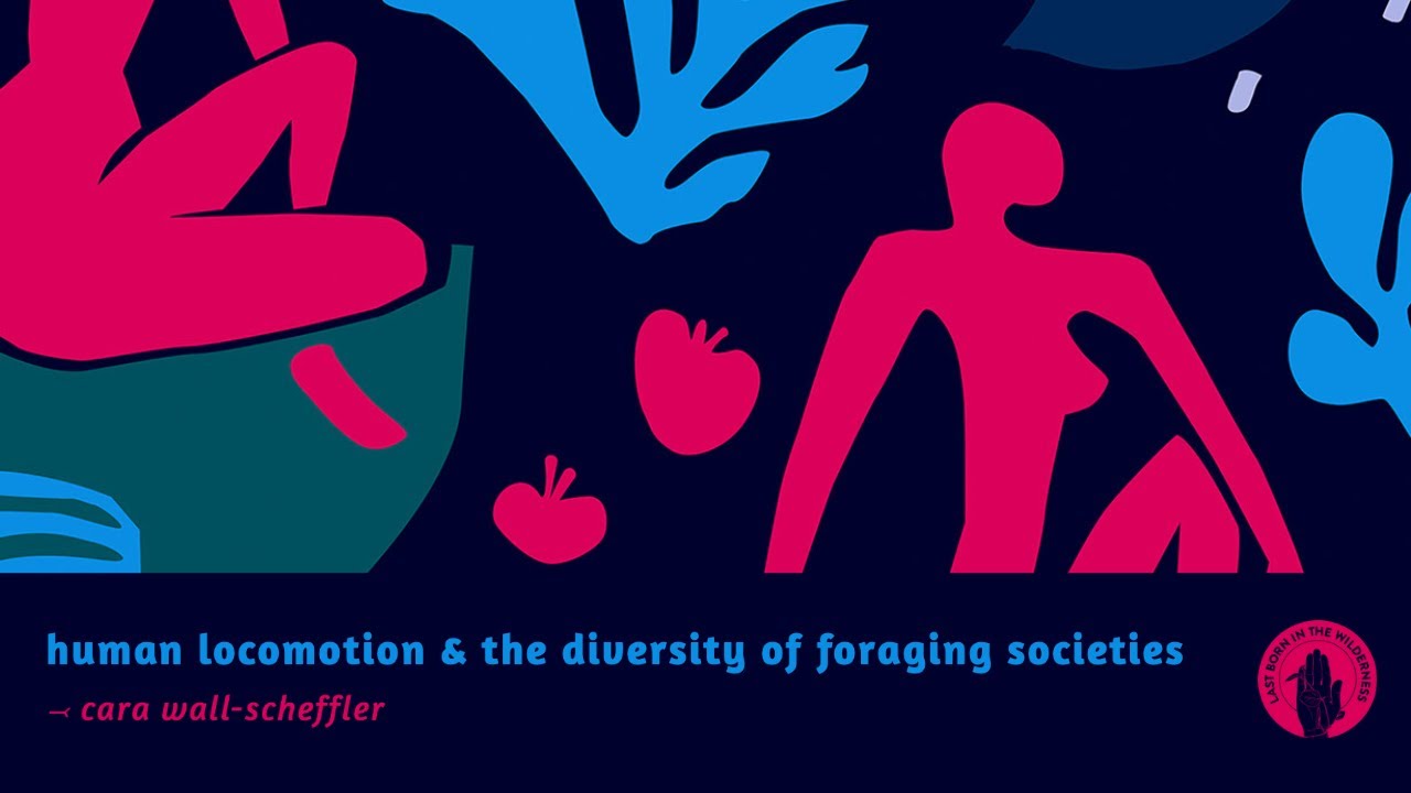 Cara Wall-Scheffler: Human Locomotion & The Diversity Of Foraging Societies