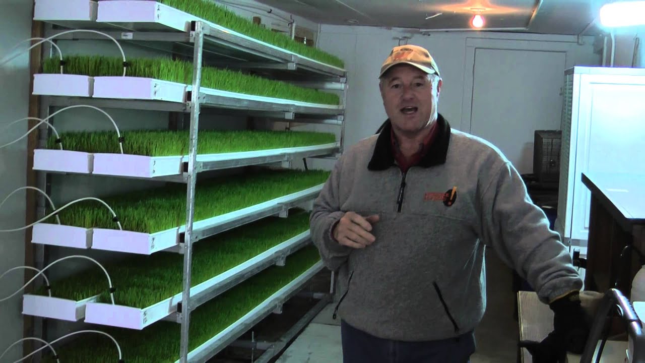 Awesome Alpacas - Fodder Growing System