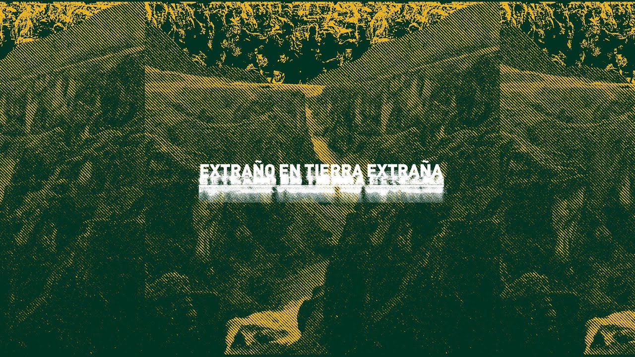 Disidente - Extraño en tierra extraña (Lyric Video)