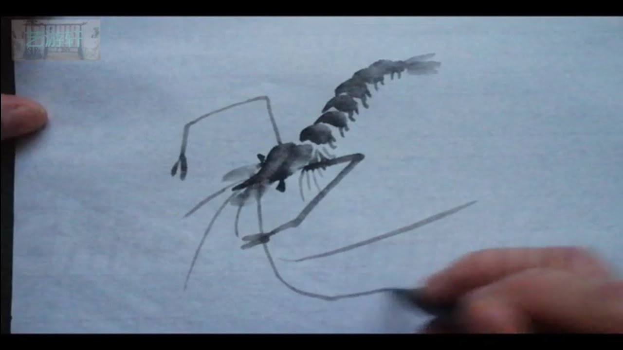 写意虾的画法/How to paint a shrimp ‖Chinese painting(2023)