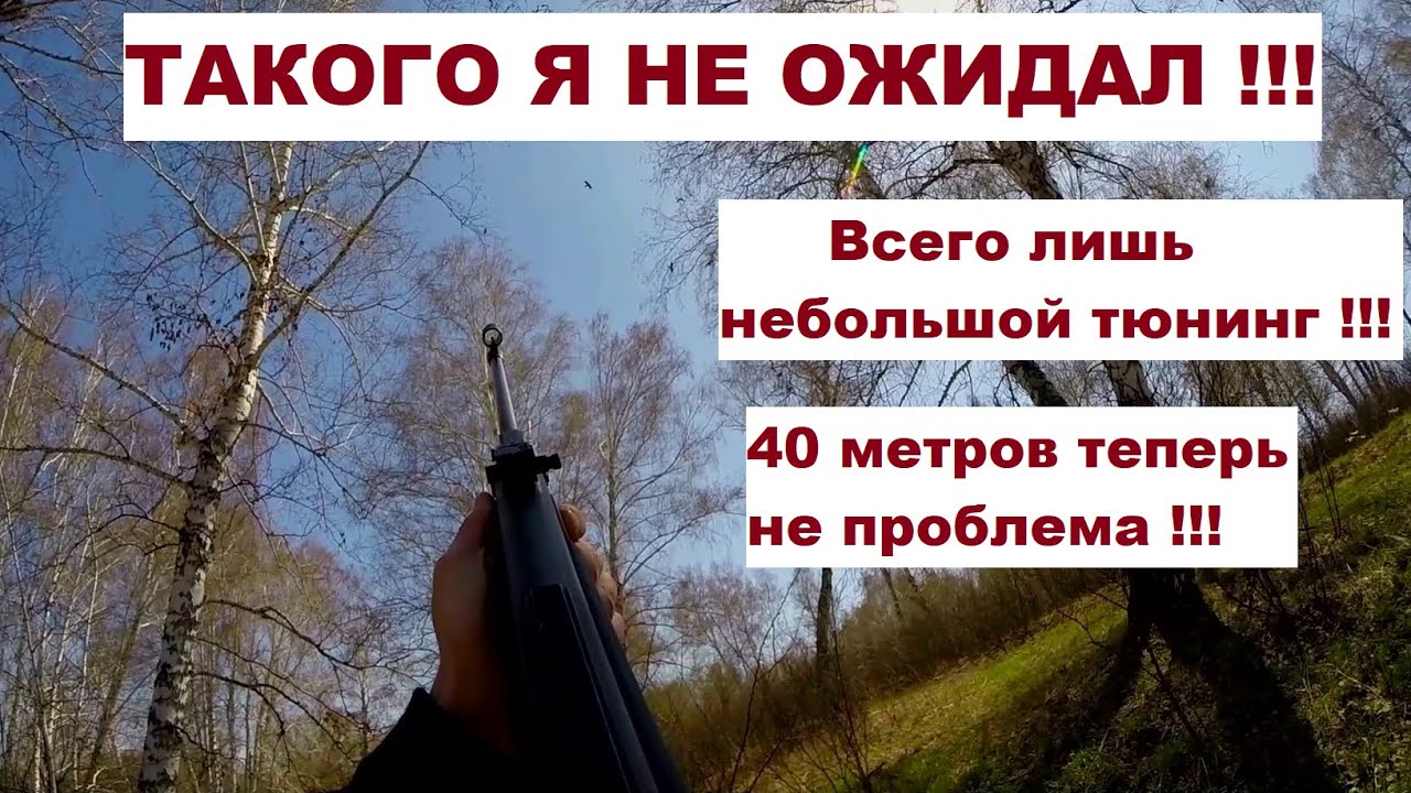 МР 512 охота