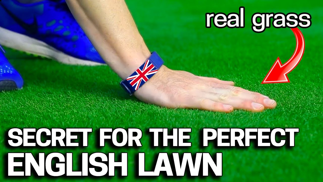 Get the Perfect English LAWN - Allett Liberty 43 Reel Mower