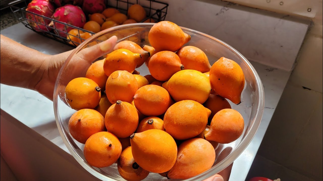 Achachairu Boliviano X Bacupari Mirim, São Realmente Parecidos?