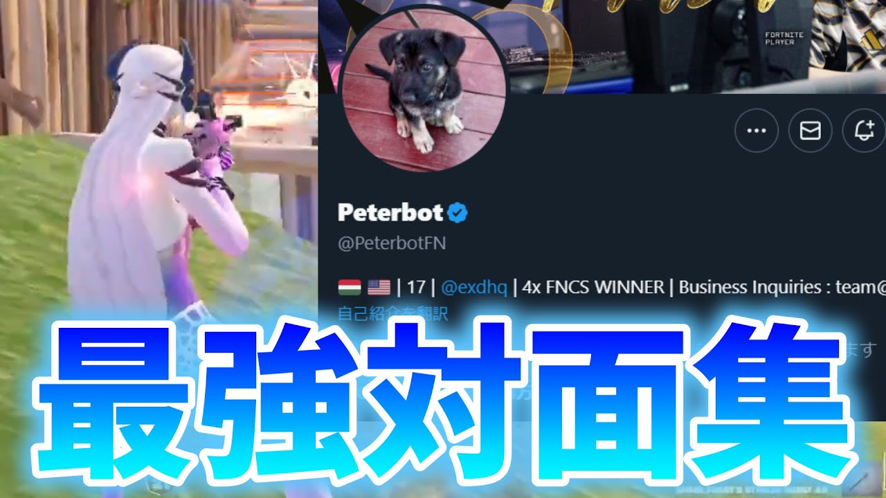 【Peterbot】世界最高峰プレイヤーの対面シーン完全まとめ【フォートナイト】【配信切り抜き】