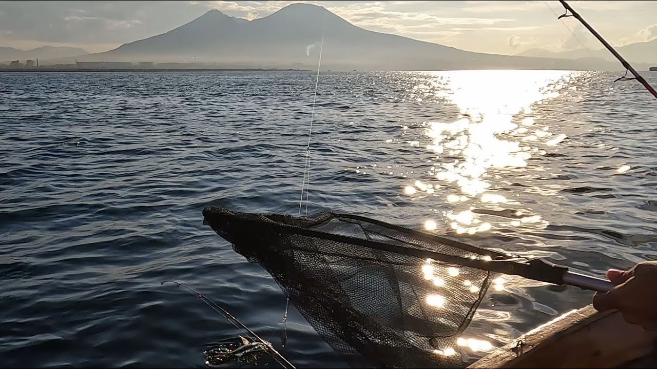 saraghi e luveri e altro a bolentino nel golfo