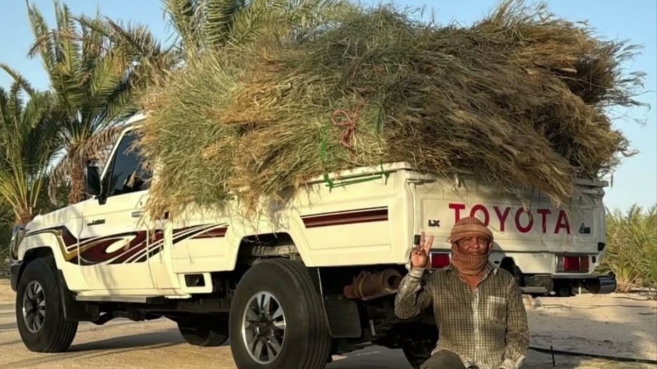 غياثي برعايه الابيض🔕