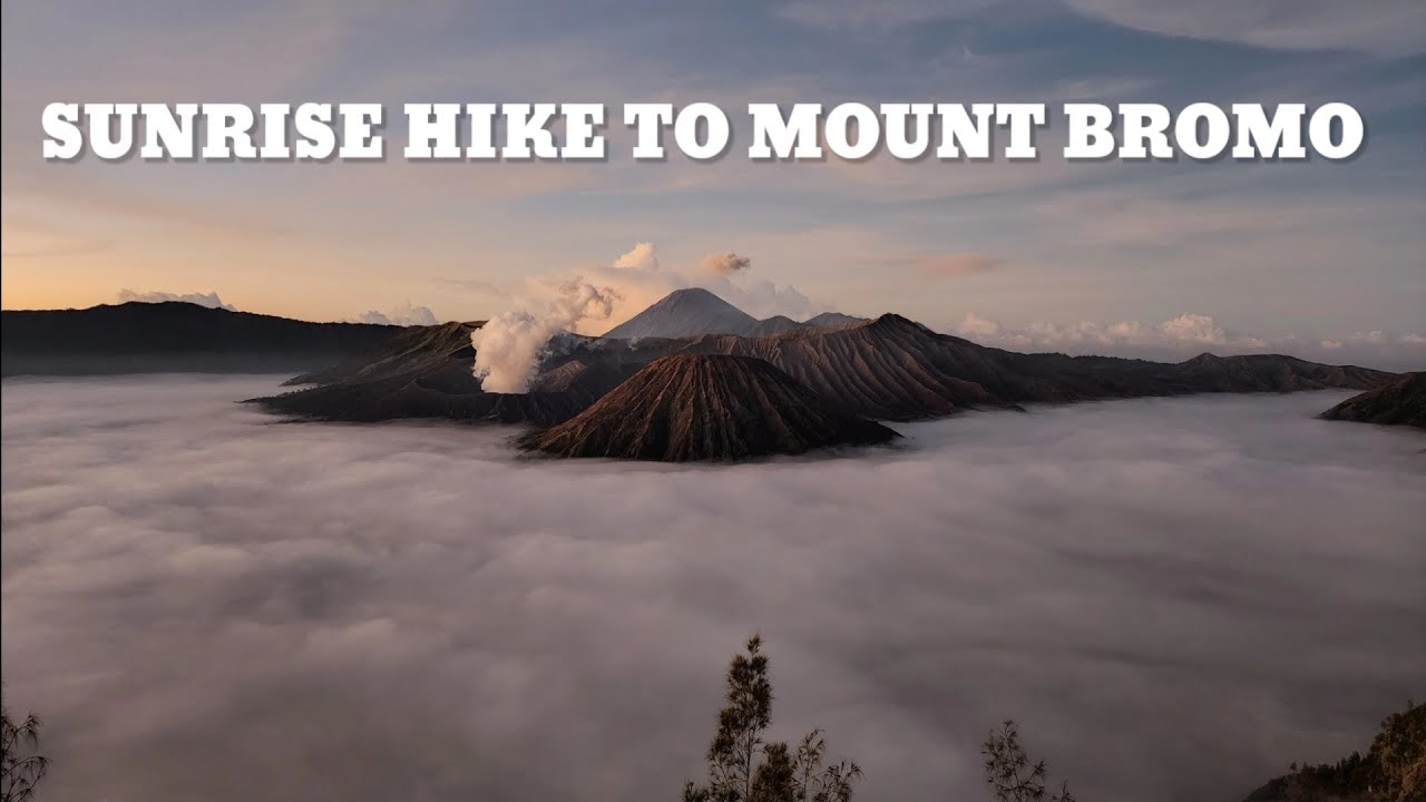 MOUNT BROMO | An Active Volcano| WITH THE WORLD'S BEST SUNRISE ! Indonesia 🇮🇩 Travel Vlog |