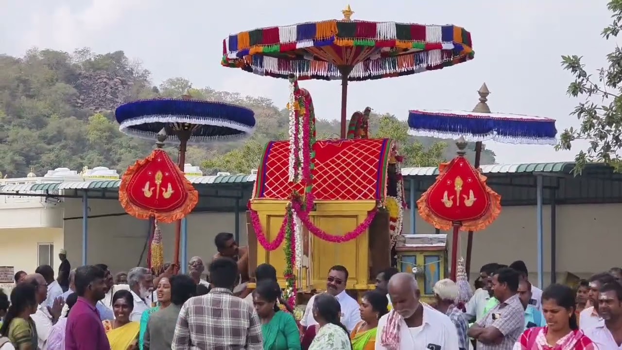 பல்லக்கு வாகனத்தில் உற்சவர் முருகப்பெருமான் வள்ளி தெய்வயானை தாயாருடன் பக்தர்களுக்கு காட்சியளித்தார்