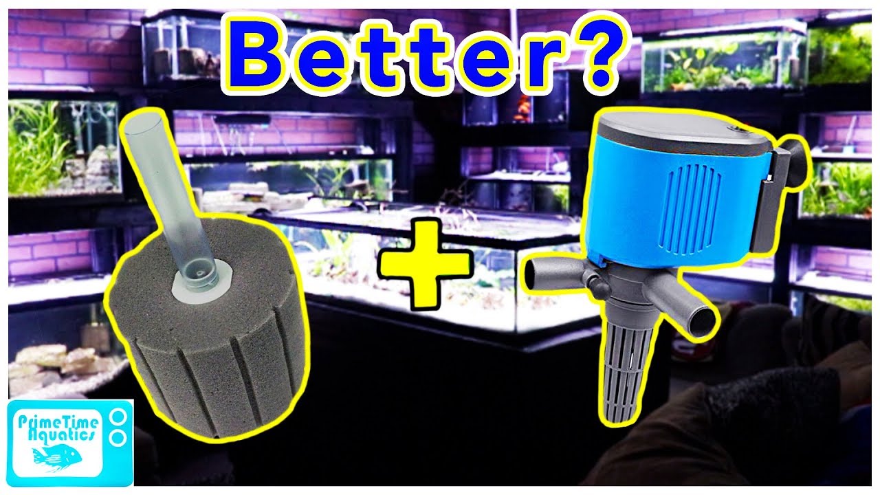 Should You Add a Powerhead to a Sponge Filter? Pros and Cons