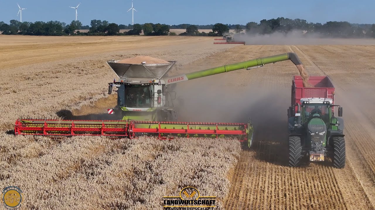 2km Länge Das Feld nimmt kein Ende! Daberkow bei der 10.000ha Getreideernte 6 Mähdrescher im Einsatz