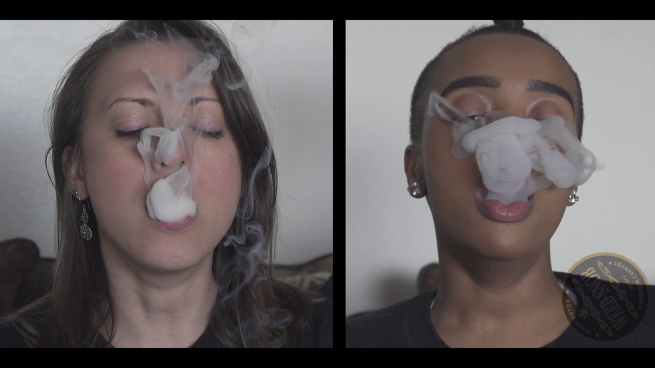 Get Blunted with The Evergreen Market Girls