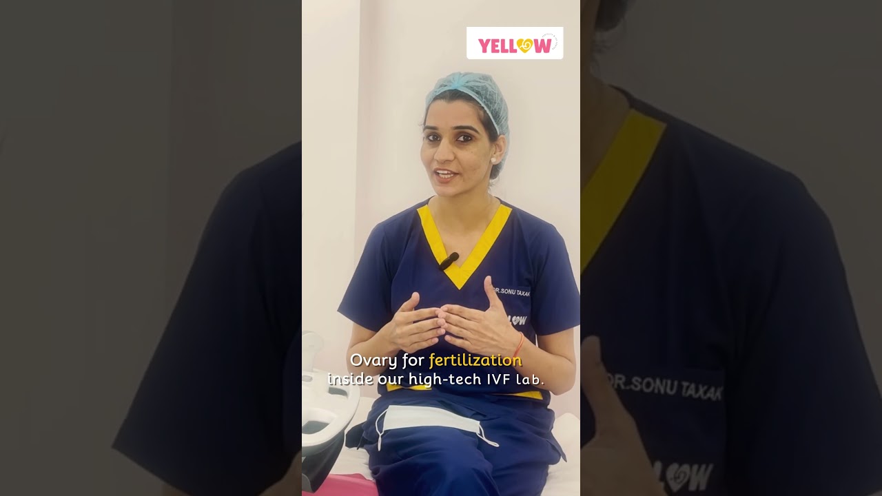 How Egg Collection Done? #eggcollection #ivf #ivfprocess