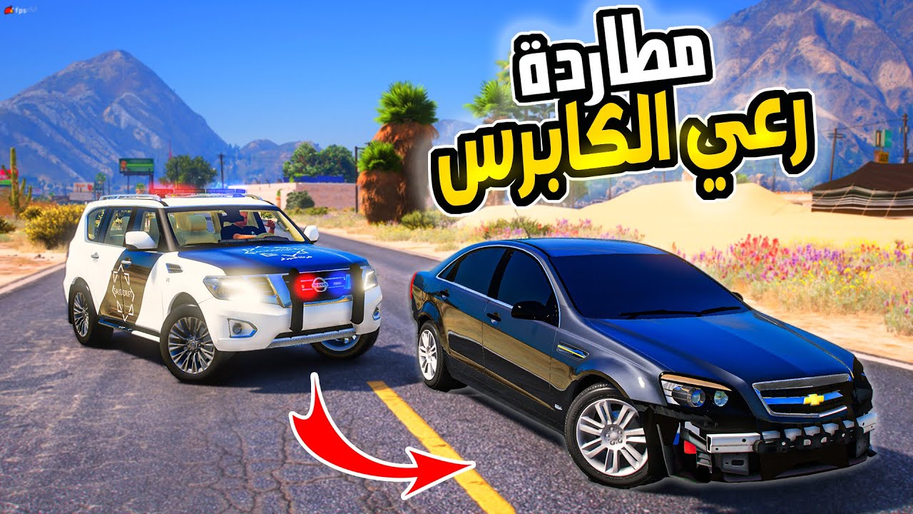 راعي الكابرس يستغل غياب الضابط خفر الصغير ويسرق بنك !