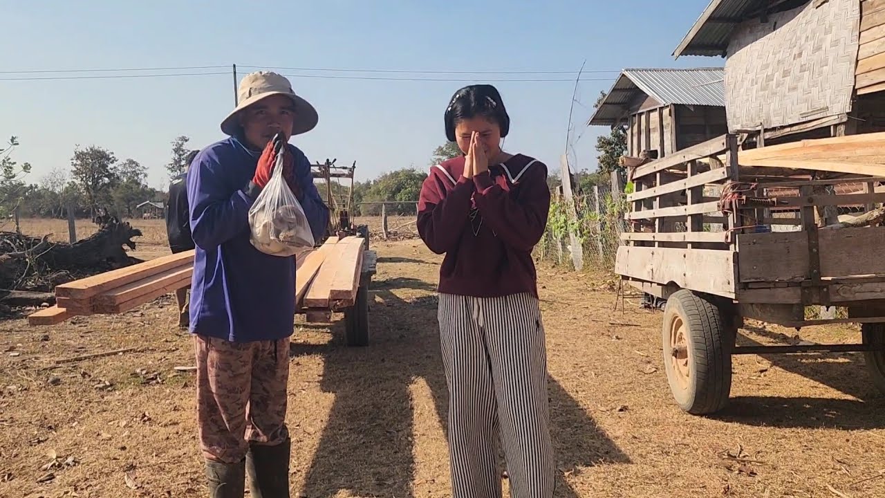 บ่าวดาวช่วย​พ่อน้องมินนี่​ยกไม้​ขอบคุณป้าแพนซื้อเห็ด​แม่น้องมินนี่​