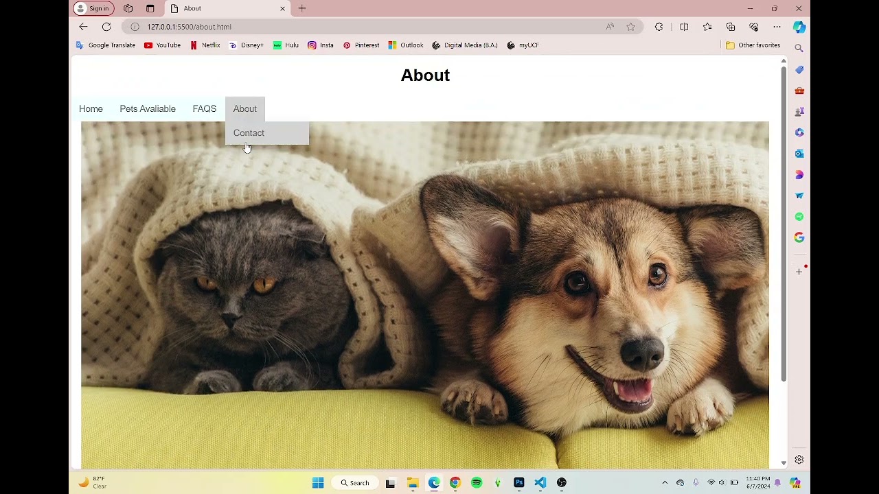 Functional Content Tammy Diaz