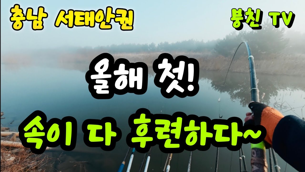 2602 요즘은 대호보다 여기가 더 낫지 싶네요  #붕어 #붕어낚시 #월척 #봄붕어  #태안 #태안 #이원수로 #원북 #캠핑 #충남 #오토캠핑 #생활꿀팁 #대호 