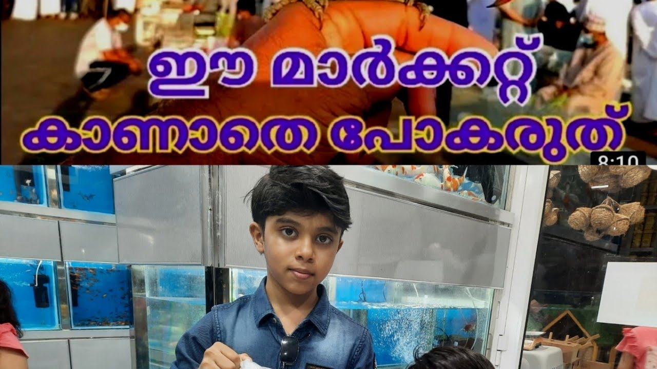 Pets Market in Muscat OMAN - seeb