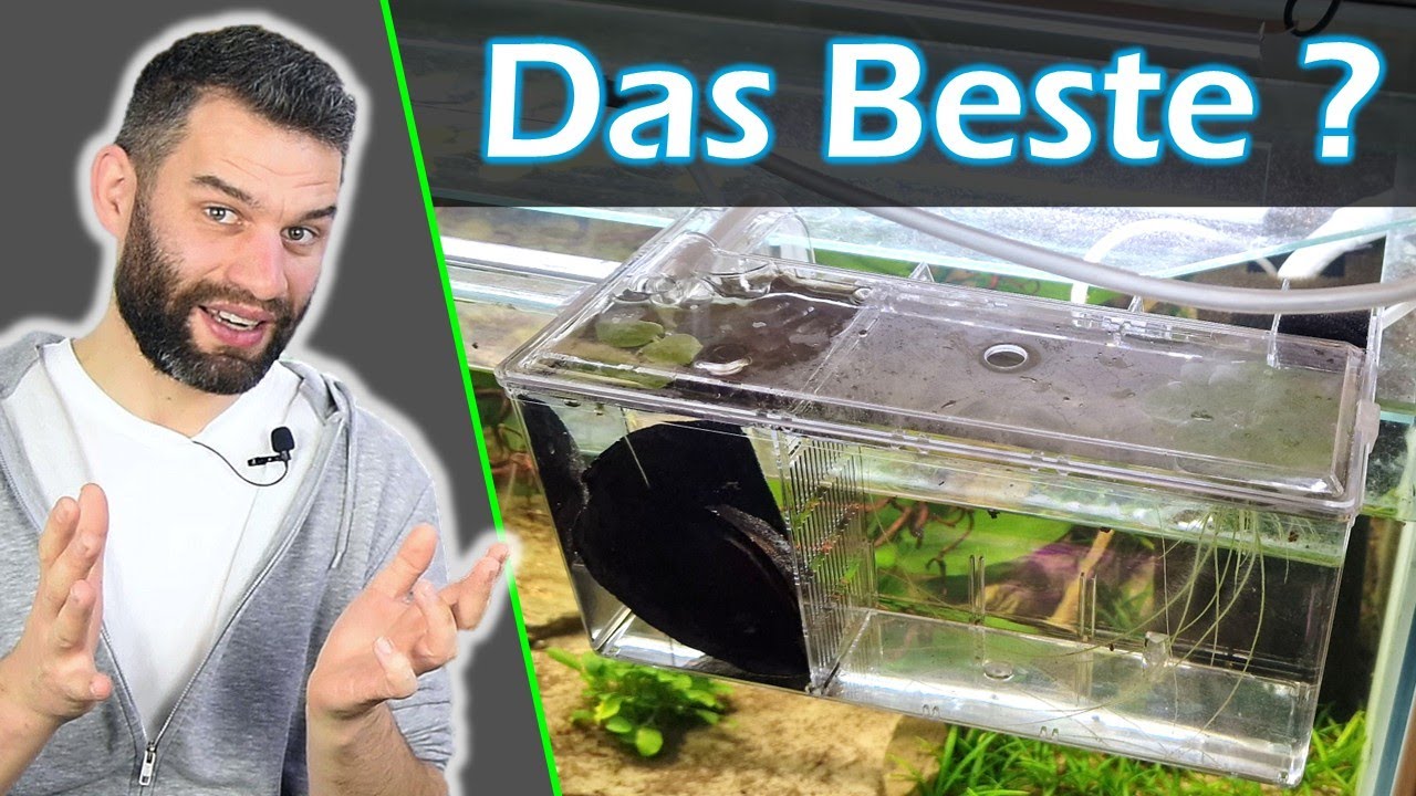 Einhängebecken im Vergleich - Hang on Aufzuchtbecken L von Fluval