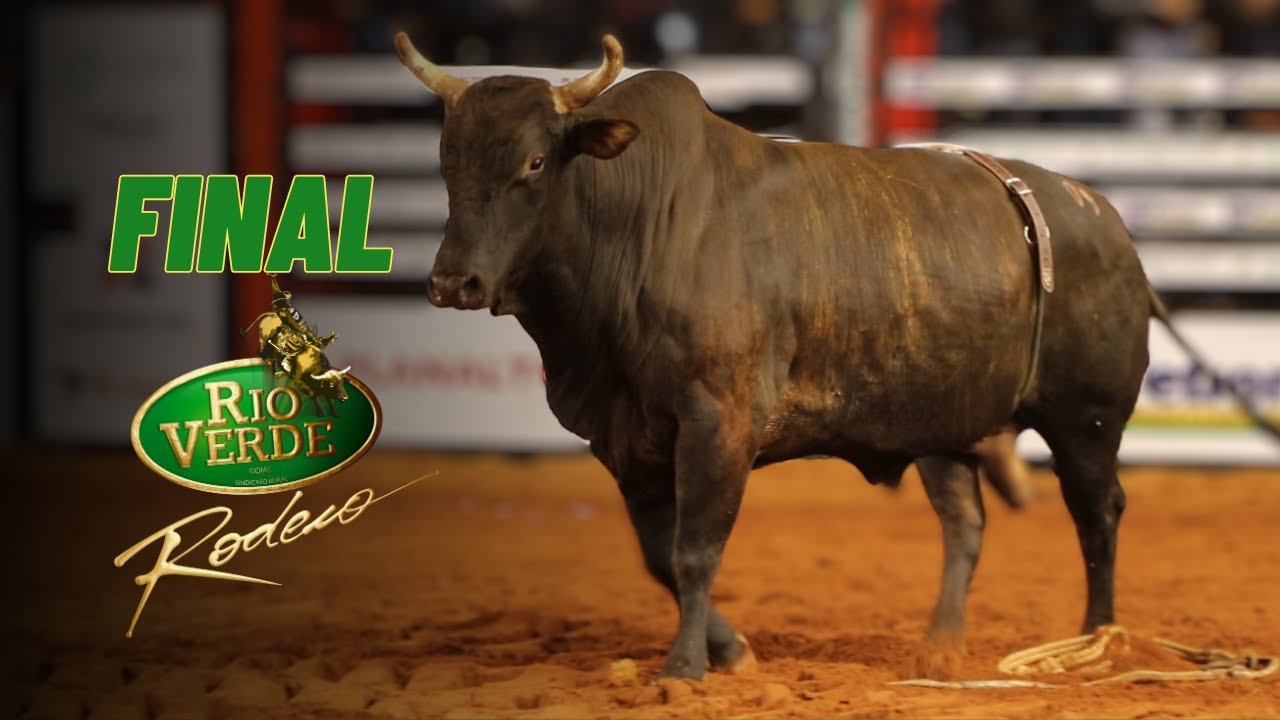FINAL em TOUROS rodeio de RIO VERDE (GO)  2023